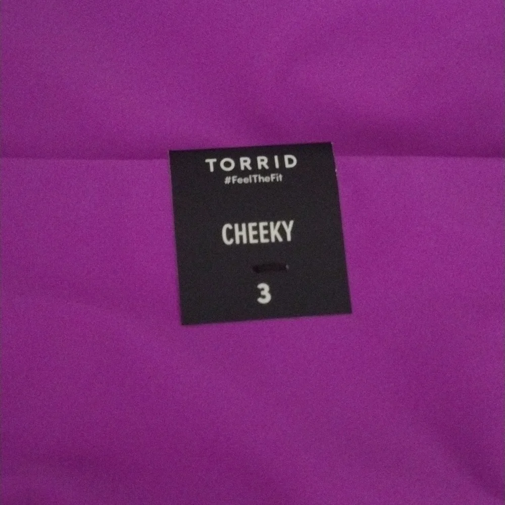 Torrid Cheeky Vivid Violet Purple High-Cut Bikini Bottom Size 3X 22/24 Nwt
